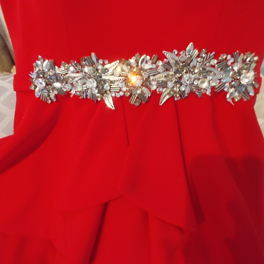 🌺TERANI COUTURE DRESS🌺 - Picture 3 of 8